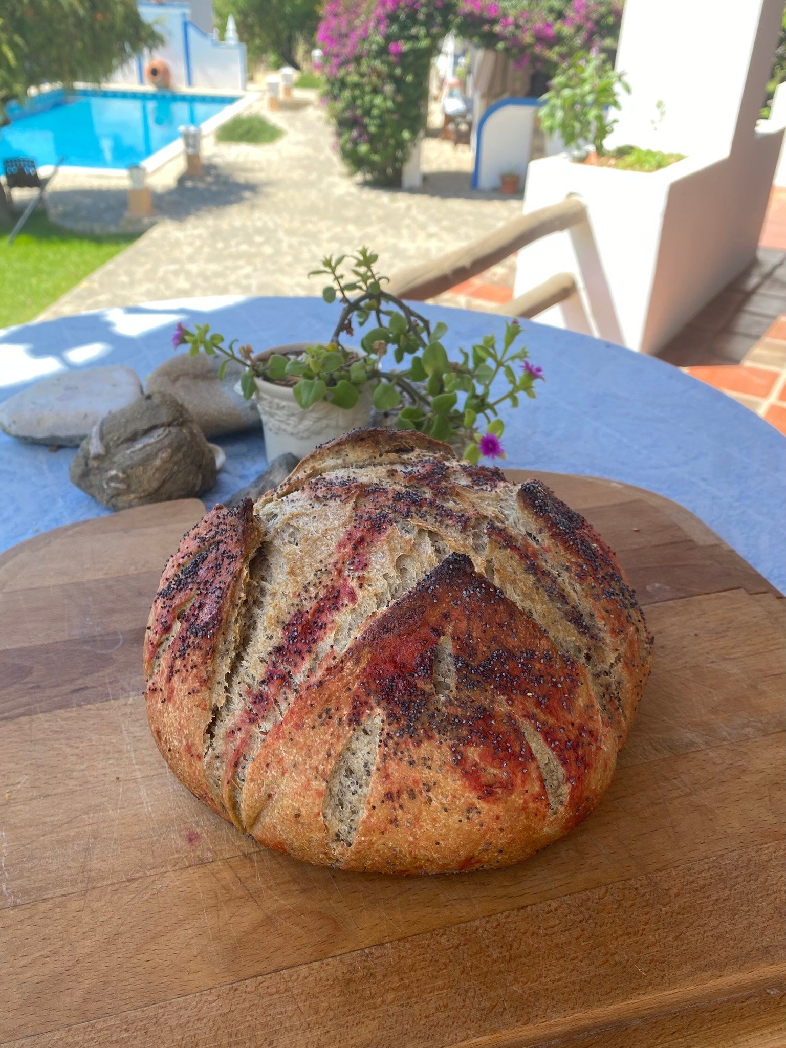 Food and Drinks 51