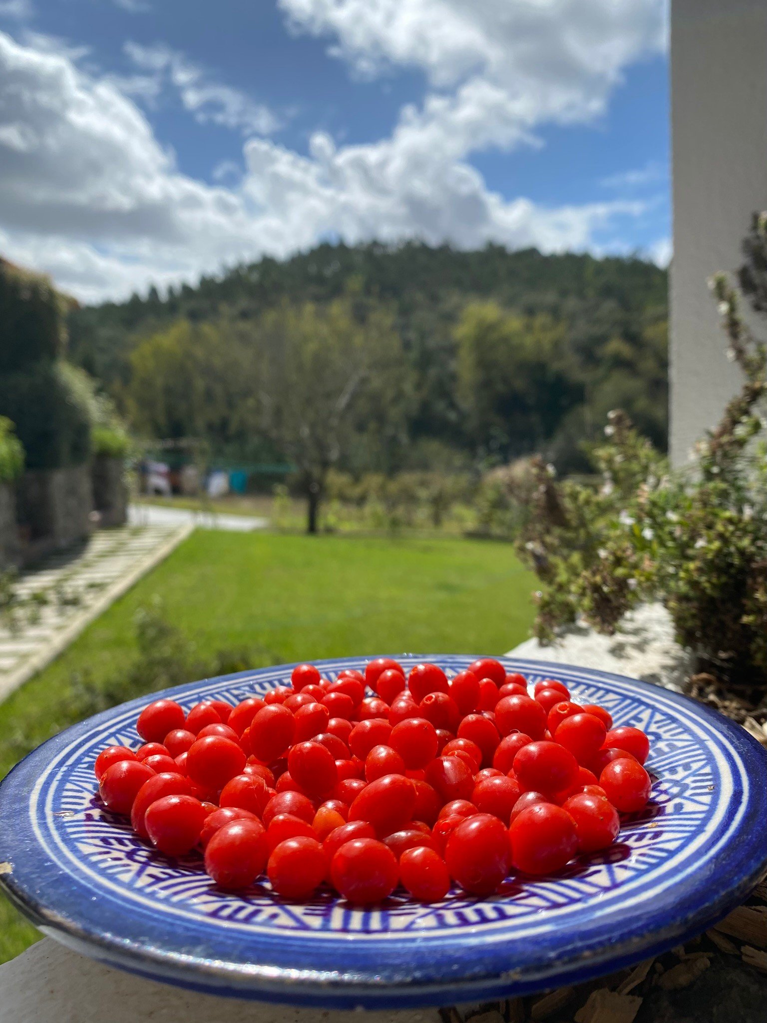 Food and Drinks 67