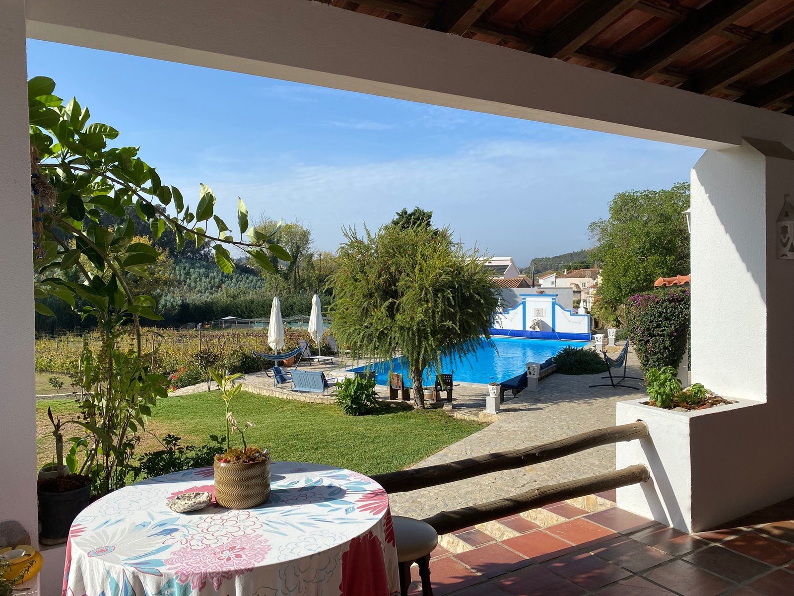 Outdoor Pool 10