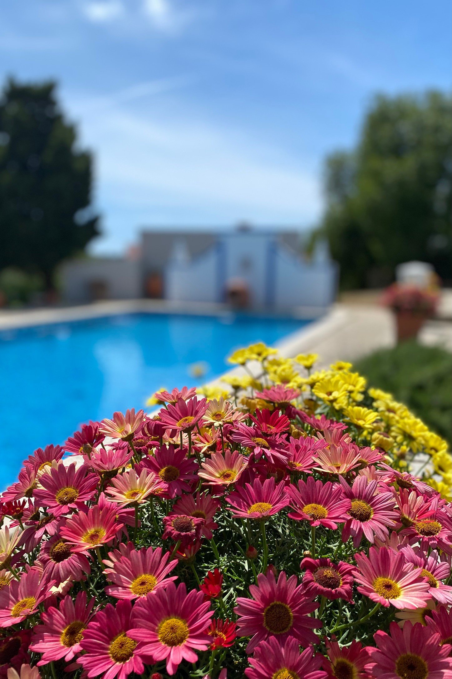 Outdoor Pool 31