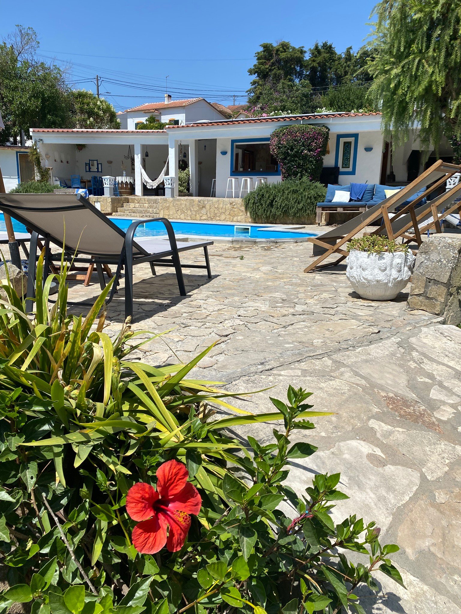 Outdoor Pool 37