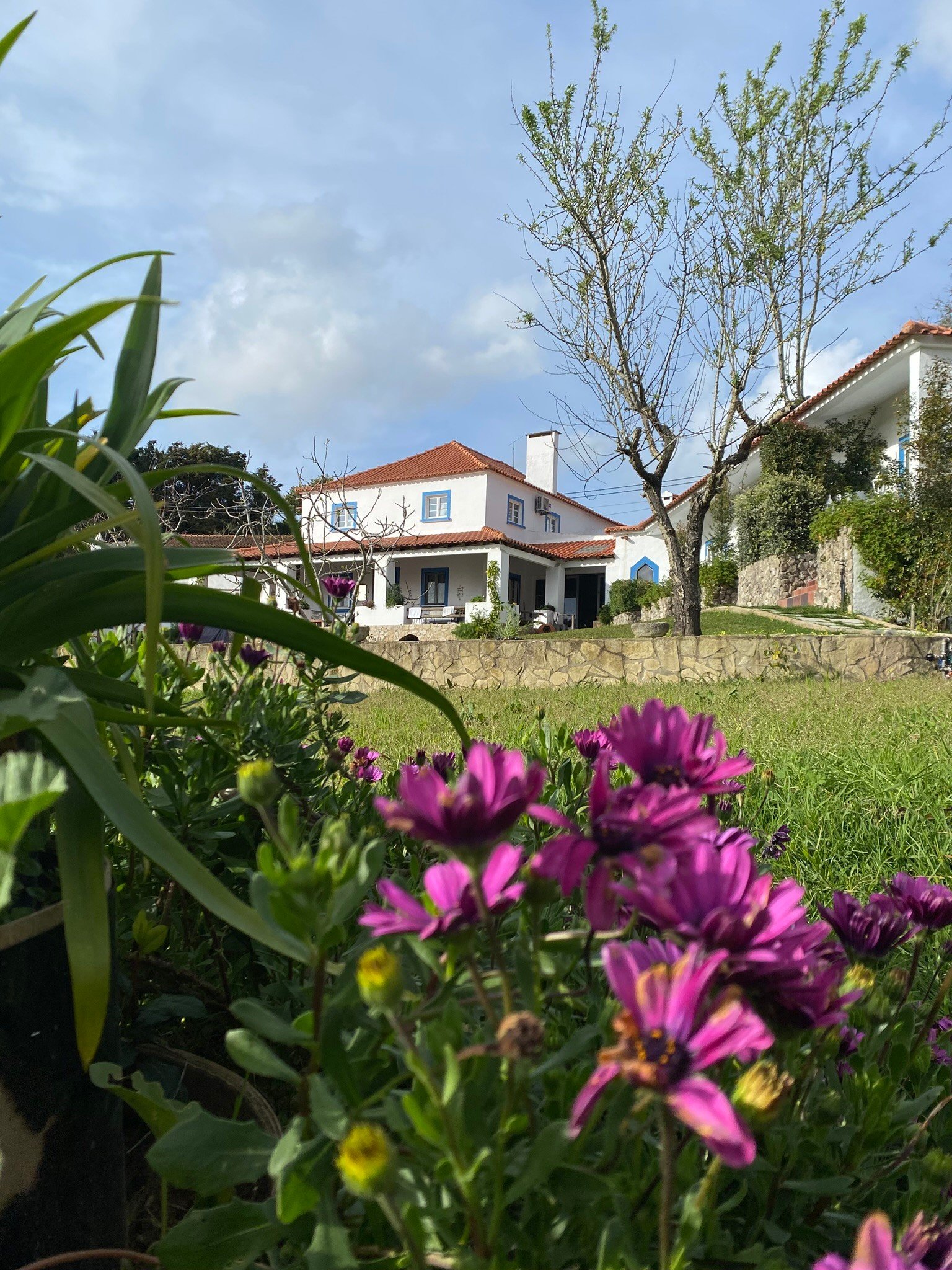 Outdoors 16