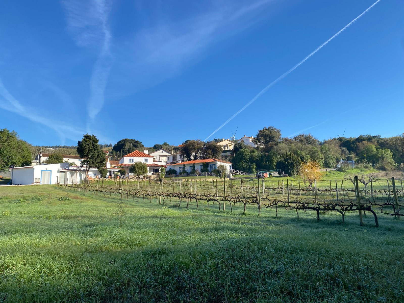 Quinta Mourada - Quinta