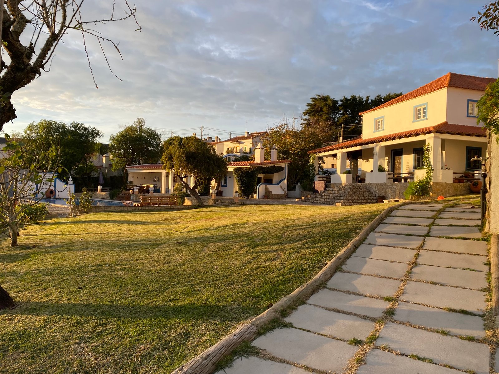 Quinta Mourada - Árvore