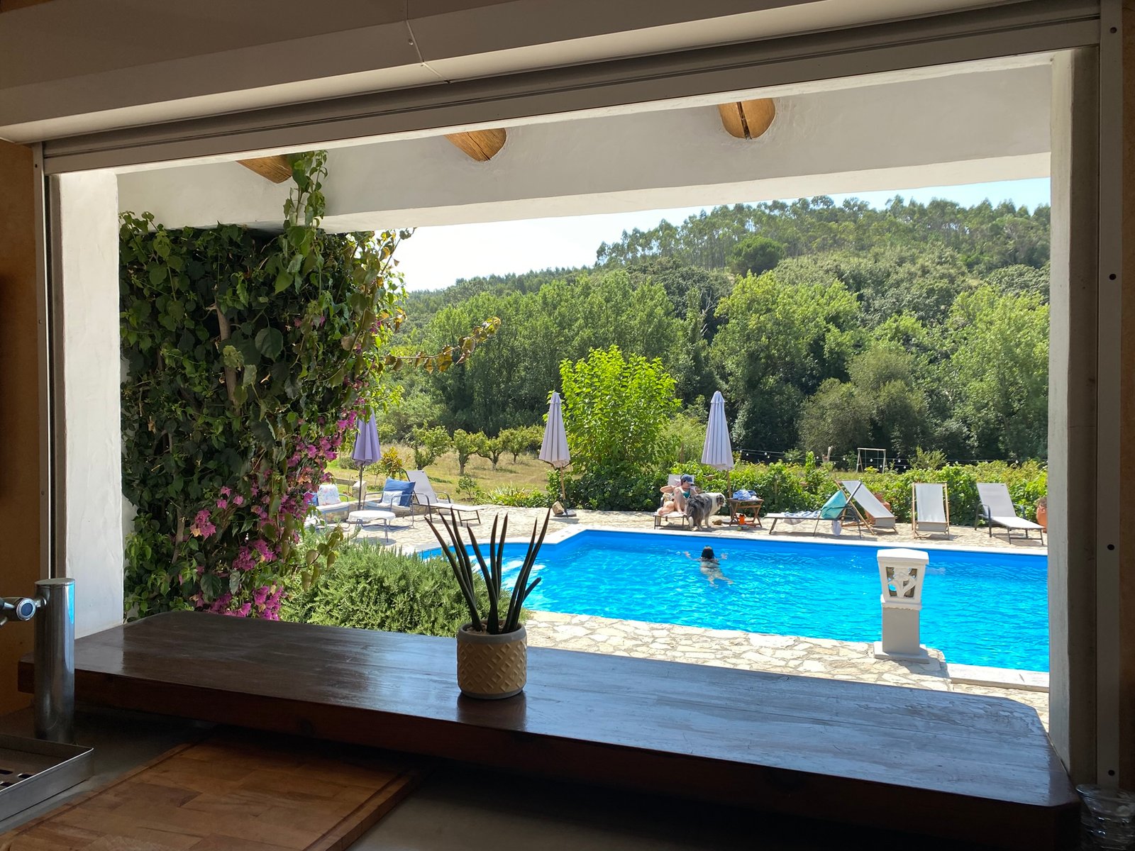 Quinta Mourada - Piscina externa