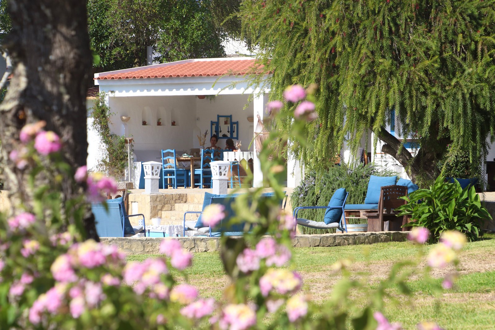 Quinta Mourada - Propriedade com cão