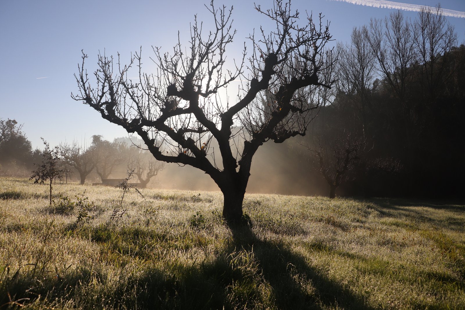 Quinta Mourada - Amanhecer