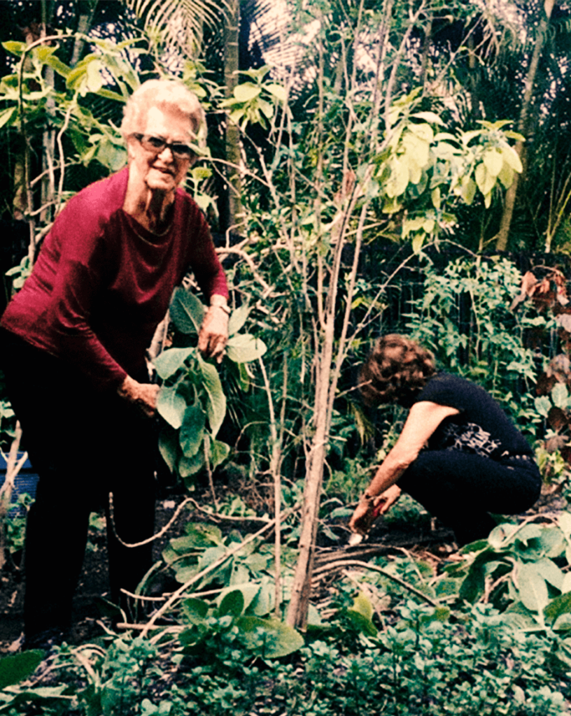 6f20dccaddc3dccf874ac6dee8b48bcd