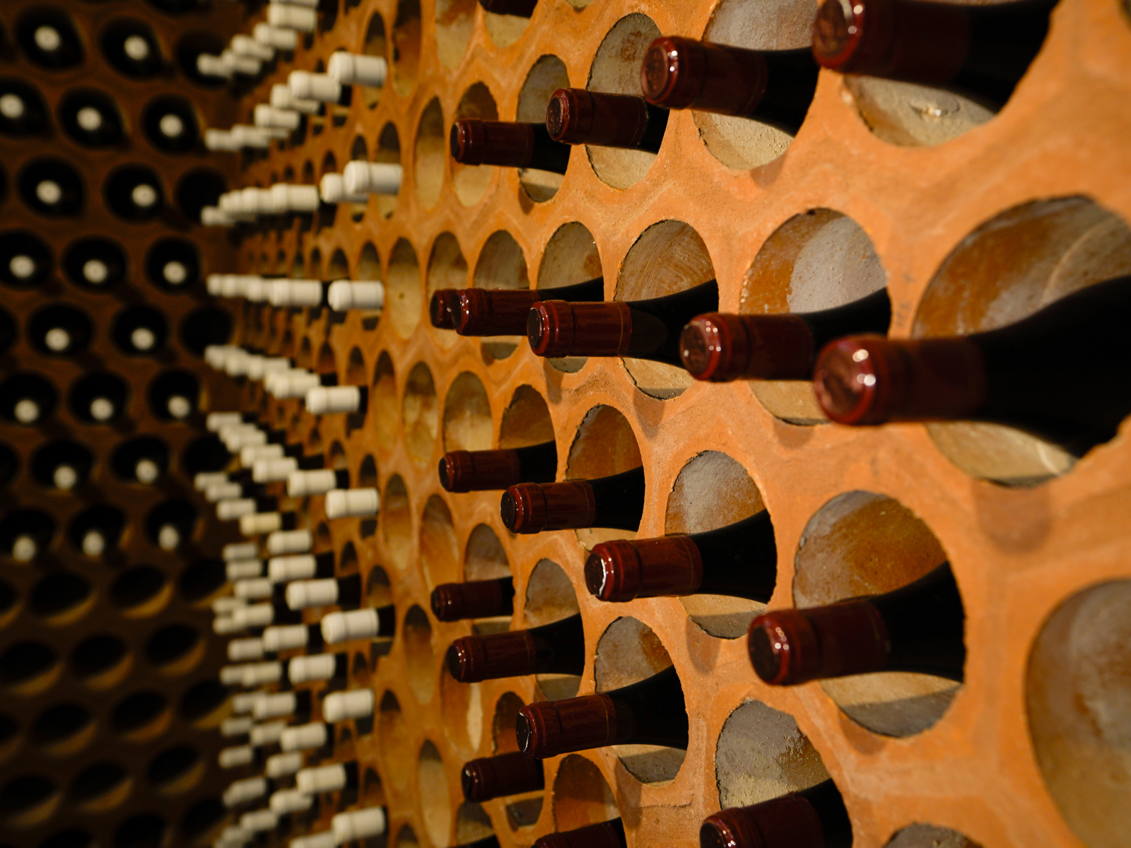 f6ba12a42ea7e0f7315e42bc438b1d9f-2