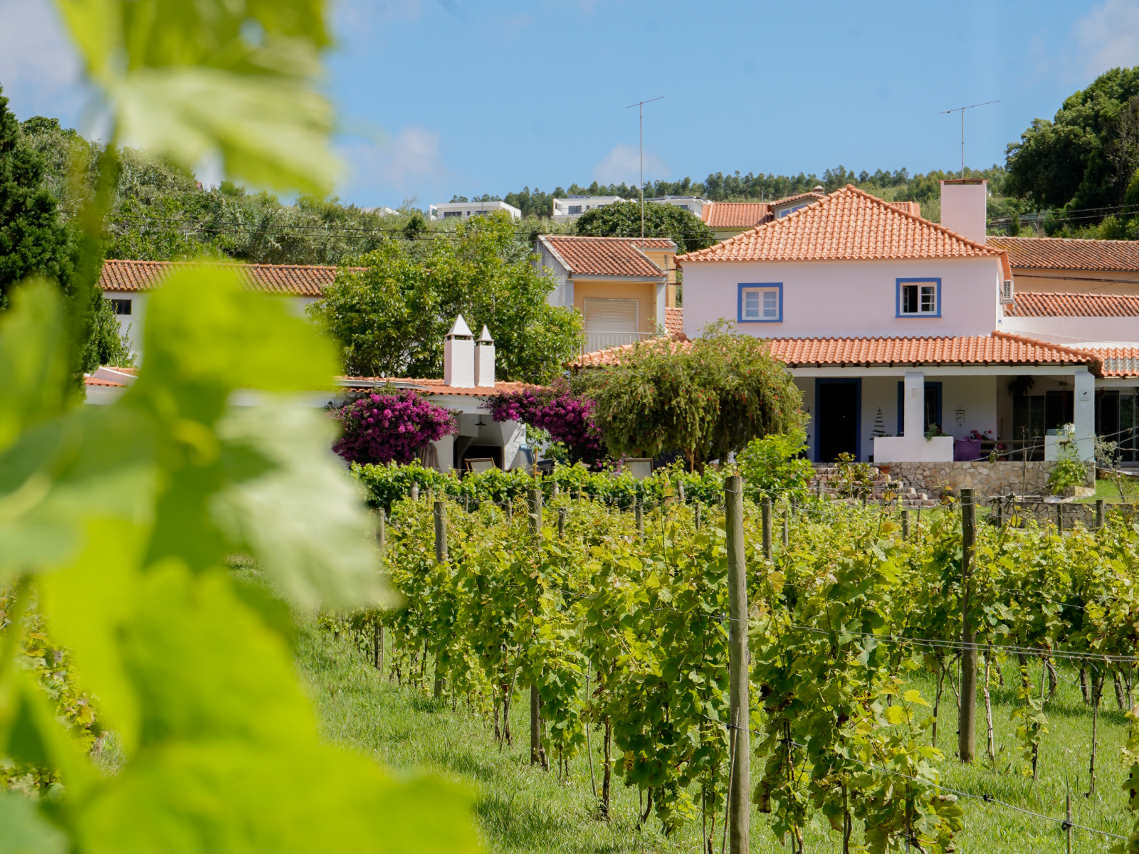 f6ba12a42ea7e0f7315e42bc438b1d9f-4