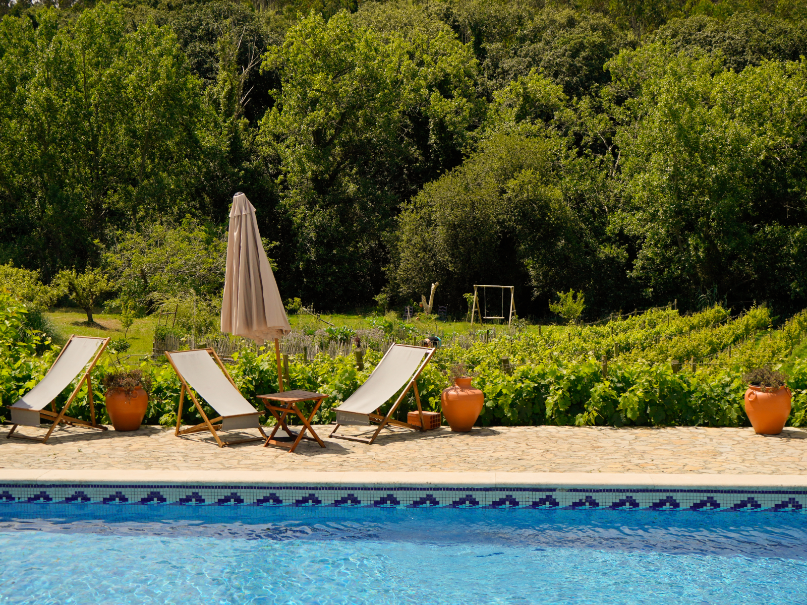 f6ba12a42ea7e0f7315e42bc438b1d9f-7